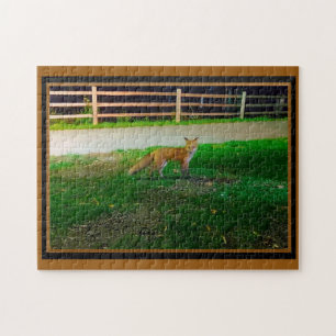 Red Fox Jigsaw Puzzle