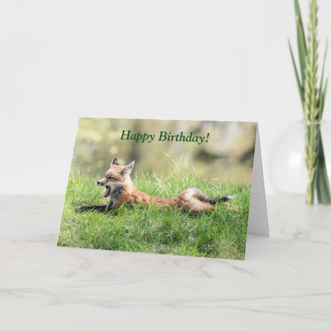 Red Fox Kit Card (Front)