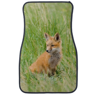 Red Fox Kit in grass near den Car Mat
