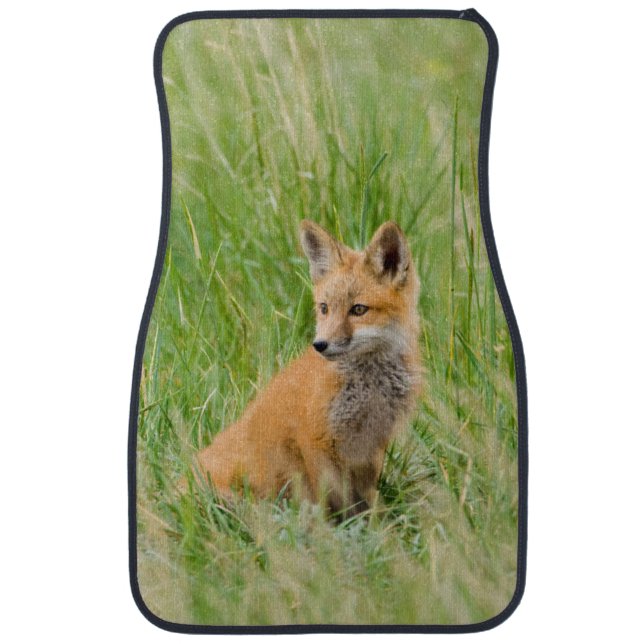 Red Fox Kit in grass near den Car Mat (Front)