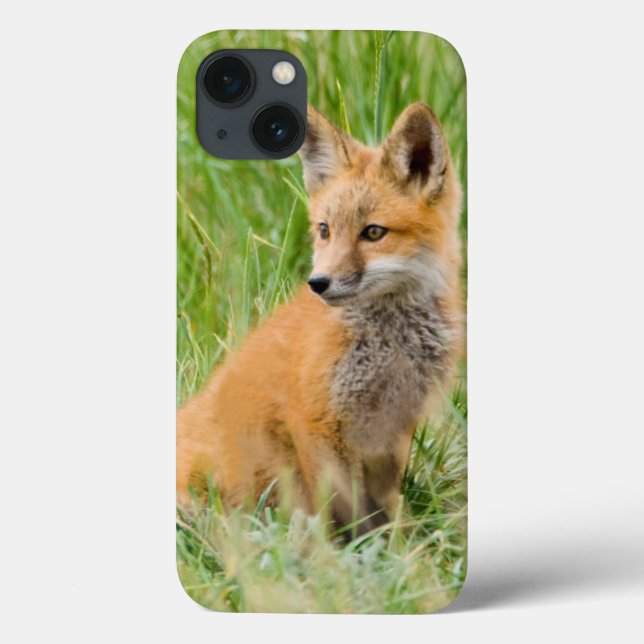 Red Fox Kit in grass near den Case-Mate iPhone Case (Back)