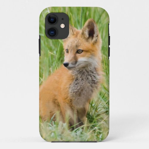 Red Fox Kit in grass near den iPhone 11 Case