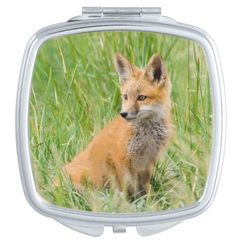Red Fox Kit in grass near den Compact Mirror