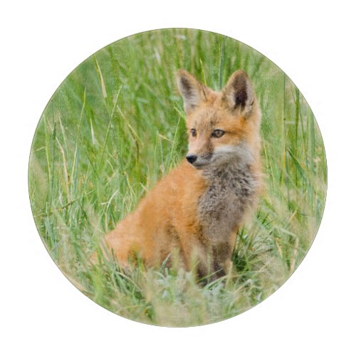 Red Fox Kit in grass near den Cutting Board