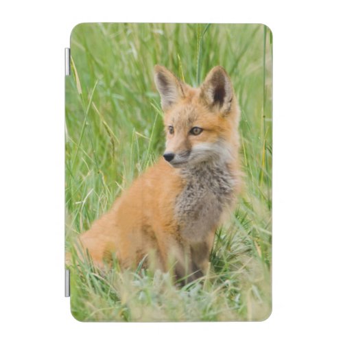 Red Fox Kit in grass near den iPad Mini Cover