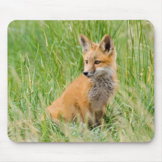 Red Fox Kit in grass near den Mouse Pad (Front)