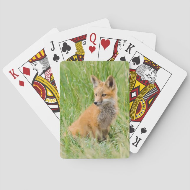 Red Fox Kit in grass near den Poker Cards (Back)