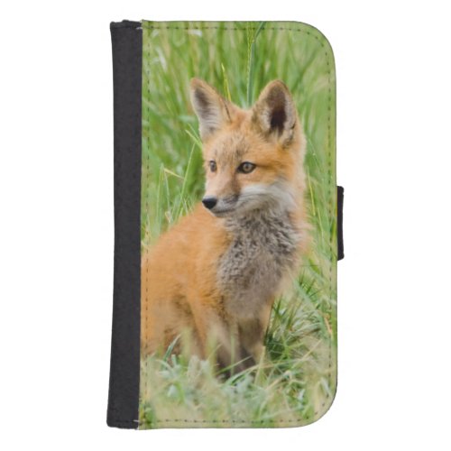 Red Fox Kit in grass near den Phone Wallet