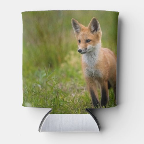 Red Fox Kit In Grassy Meadow Can Cooler
