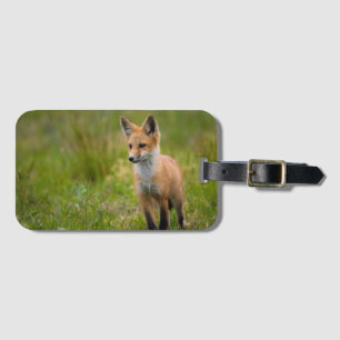 Red Fox Kit In Grassy Meadow Luggage Tag