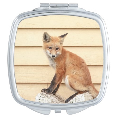 Red Fox Kit in The Hudson Valley Compact Mirror