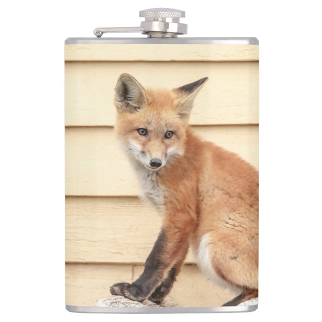 Red Fox Kit in The Hudson Valley Flask (Front)