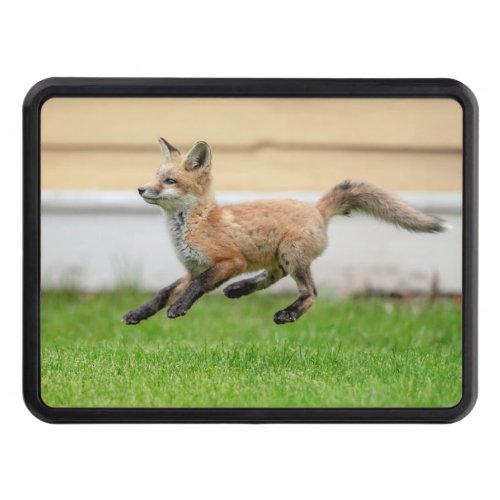 Red Fox Kit in The Hudson Valley Hitch Cover