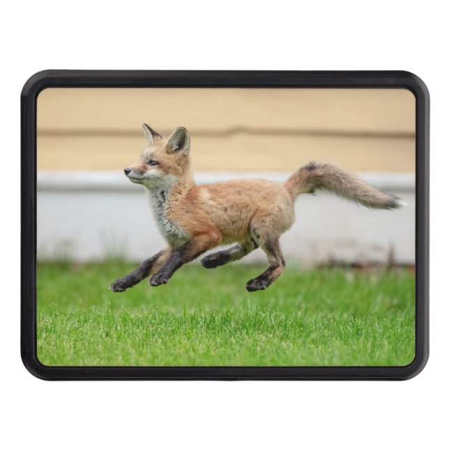 Red Fox Kit in The Hudson Valley Hitch Cover (Front)