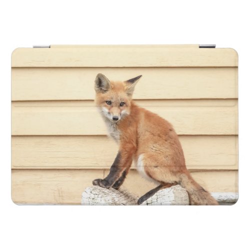 Red Fox Kit in The Hudson Valley iPad Pro Cover