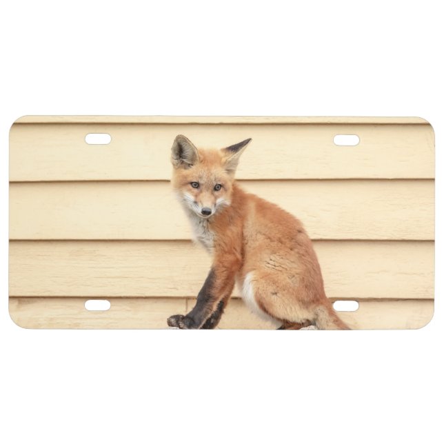 Red Fox Kit in The Hudson Valley License Plate (Front)
