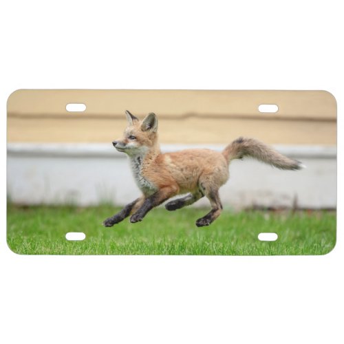 Red Fox Kit in The Hudson Valley License Plate