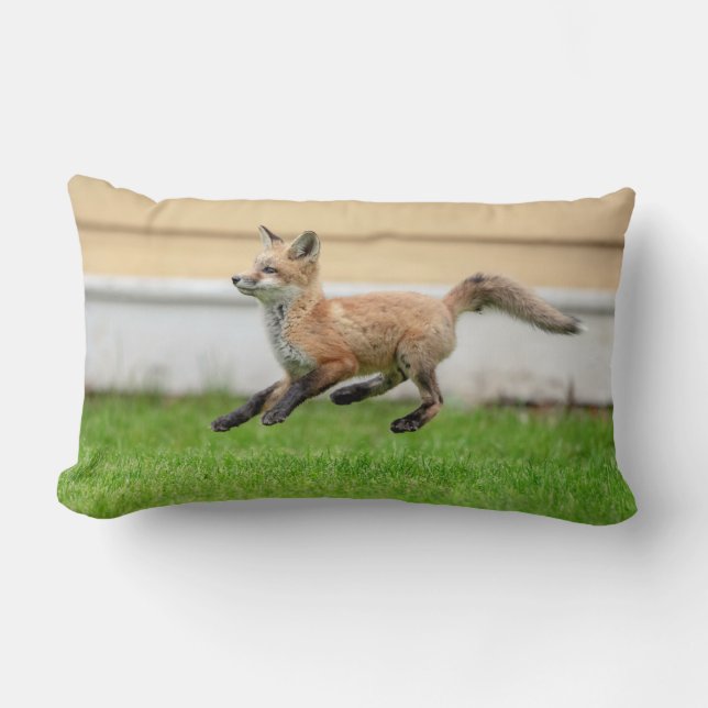 Red Fox Kit in The Hudson Valley Lumbar Pillow (Front)