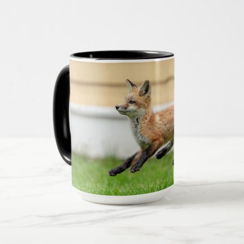 Red Fox Kit in The Hudson Valley Mug