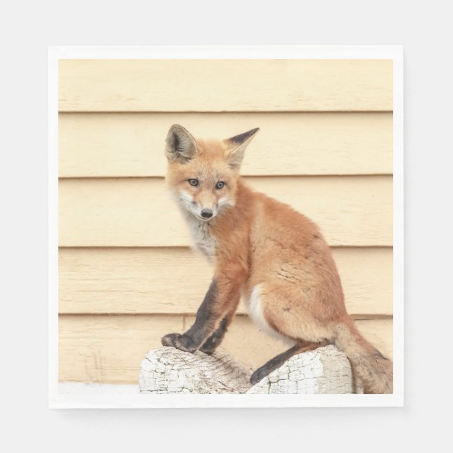Red Fox Kit in The Hudson Valley Napkins (Front)