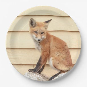 Red Fox Kit in The Hudson Valley Paper Plates