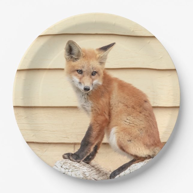 Red Fox Kit in The Hudson Valley Paper Plates (Front)