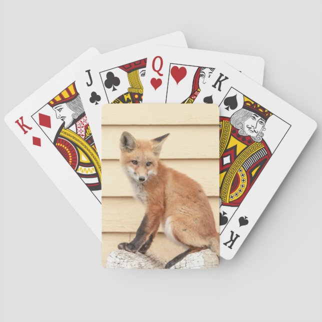 Red Fox Kit in The Hudson Valley Poker Cards (Back)