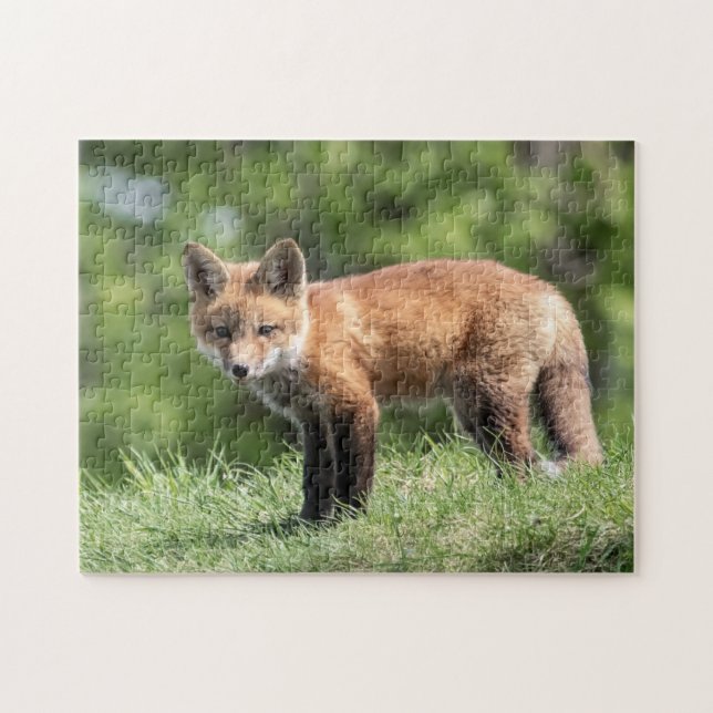 Red Fox Kit Jigsaw Puzzle (Horizontal)