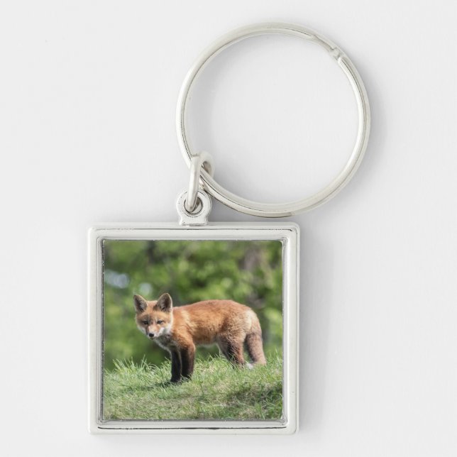 Red Fox Kit Keychain (Front)