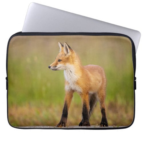 Red Fox Kit Laptop Sleeve