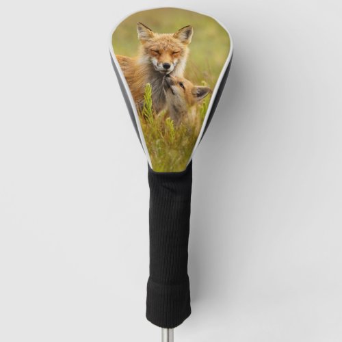 Red Fox Kit Looking Up to Momma Golf Head Cover