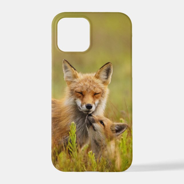 Red Fox Kit Looking Up to Momma  iPhone Case (Back)