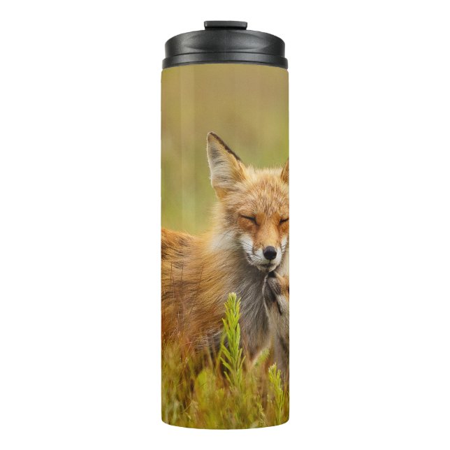 Red Fox Kit Looking Up to Momma   Thermal Tumbler (Front)