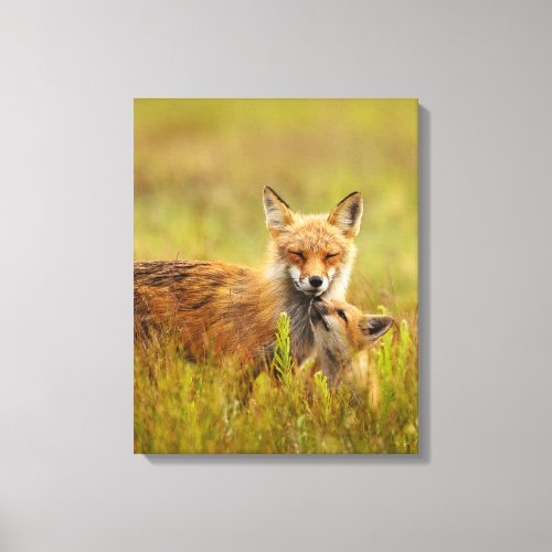 Red Fox Kit Looking Up to Momma Vixen Canvas Print