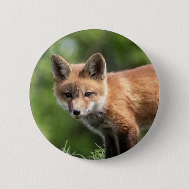 Red Fox Kit Pinback Button (Front)