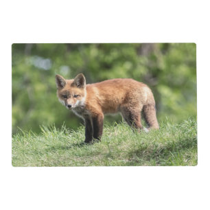 Red Fox Kit Placemat