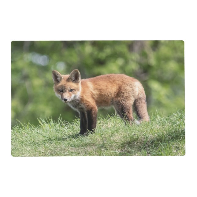 Red Fox Kit Placemat (Front)