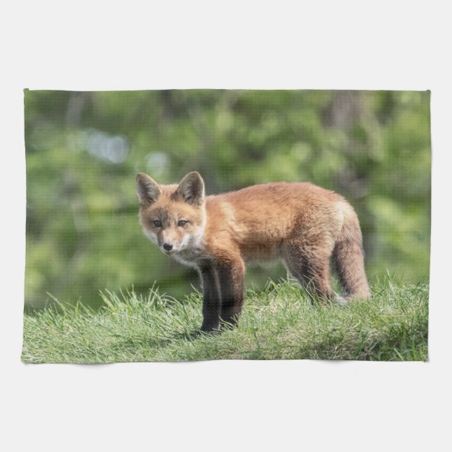 Red Fox Kit Towel (Horizontal)