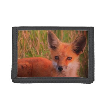 Red Fox Kit Trifold Wallet