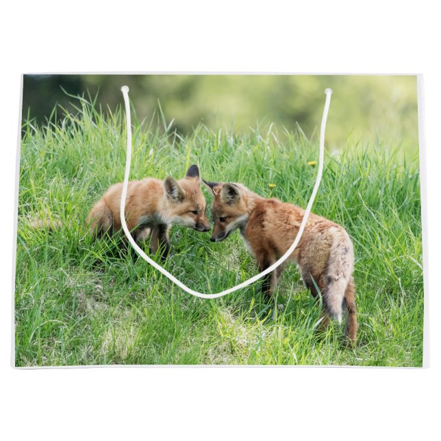 Red Fox Kits Large Gift Bag (Front)