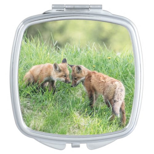 Red Fox Kits Mirror For Makeup