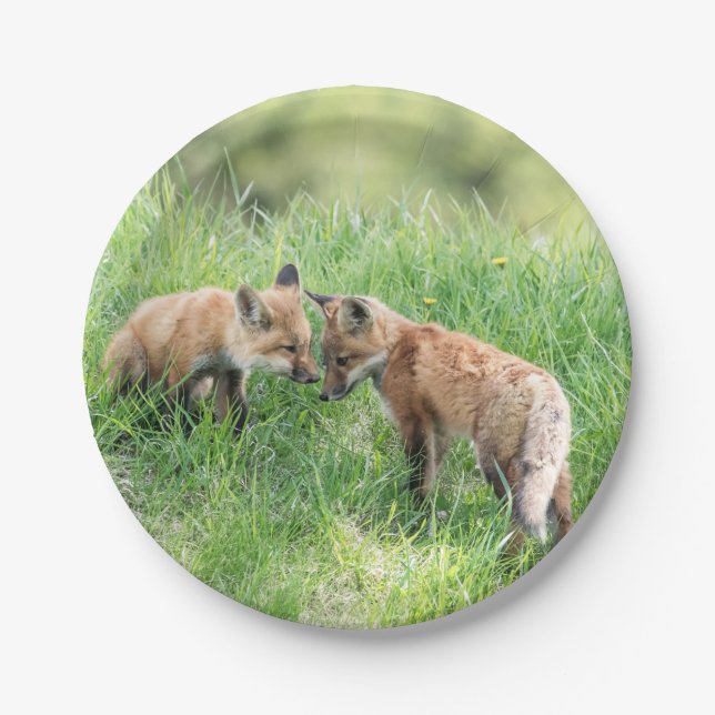 Red Fox Kits Paper Plates (Front)