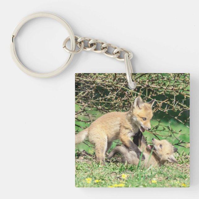 Red Fox Kits Playing Keychain (Front)
