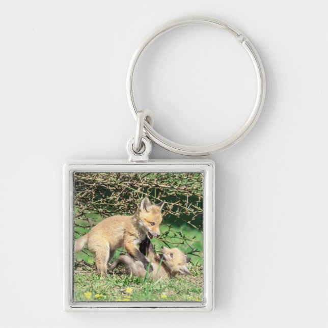 Red Fox Kits Playing Keychain (Front)