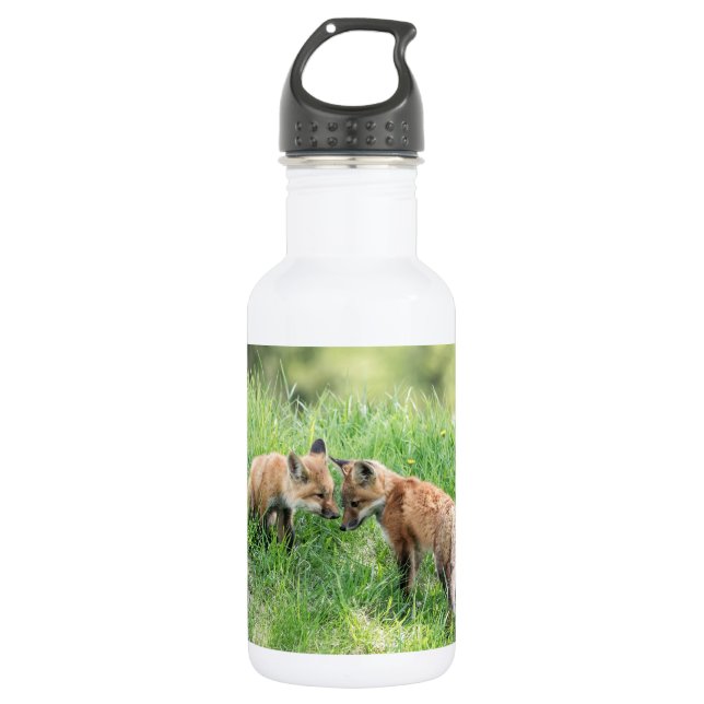 Red Fox Kits Stainless Steel Water Bottle (Front)