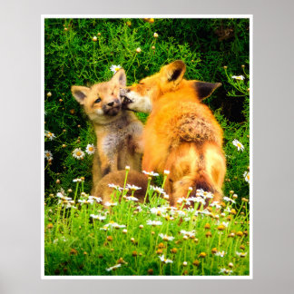 Red Fox Kits Wall Art | Wildlife Meadow Print