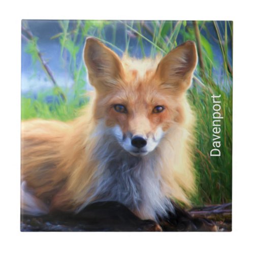 Red Fox Laying in the Grass Scenic Personalized Tile