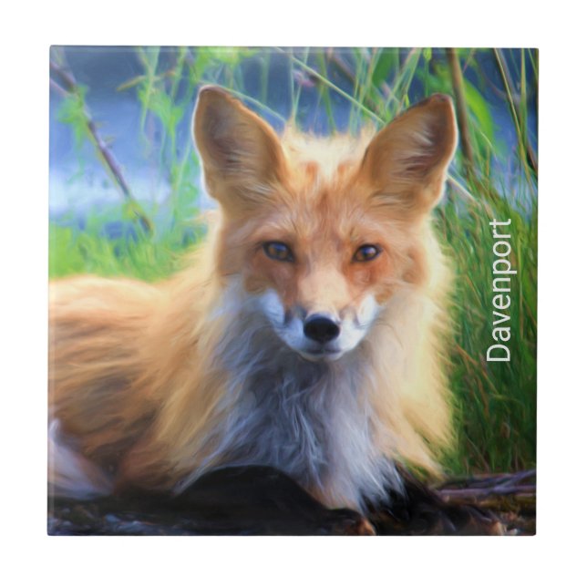 Red Fox Laying in the Grass Scenic Personalized Tile (Front)
