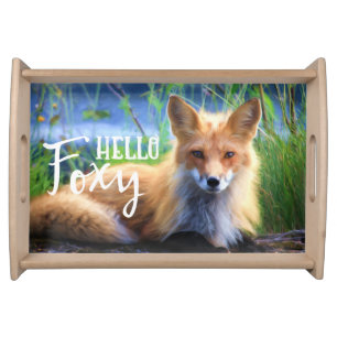 Red Fox Laying in the Grass Scenic Wildlife Serving Tray