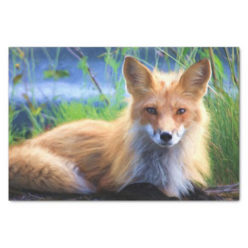 Red Fox Laying in the Grass Scenic Wildlife Tissue Paper